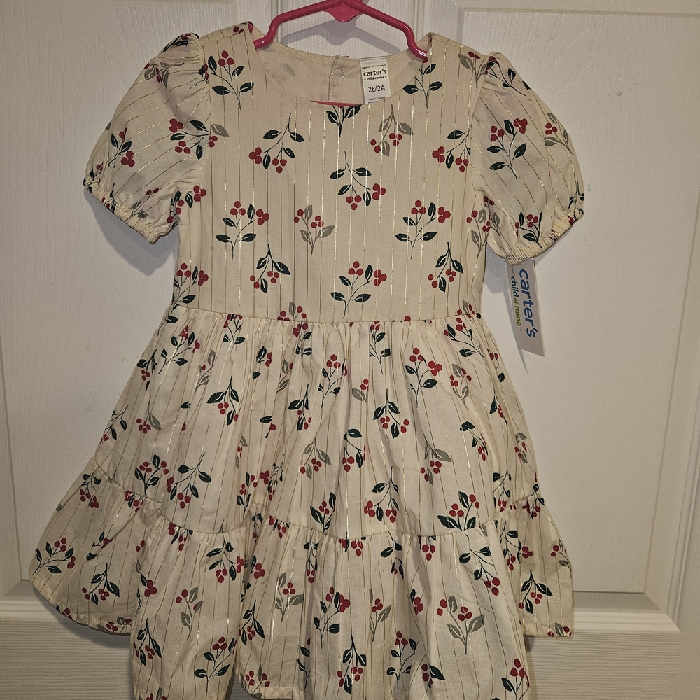 Carter's Beige Floral Kids Christmas Holly Berry Dress 2t